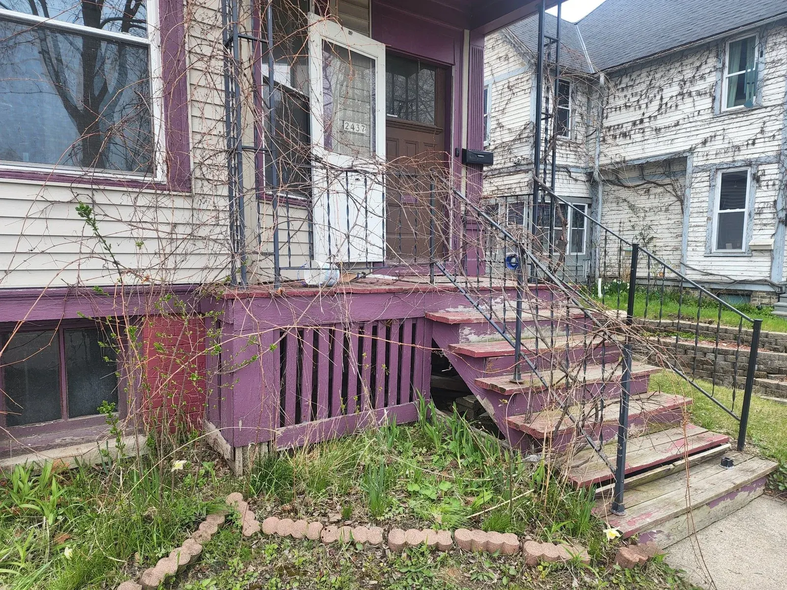 Purple-painted residential building entrance with brick steps, metal railing, and overgrown vegetation