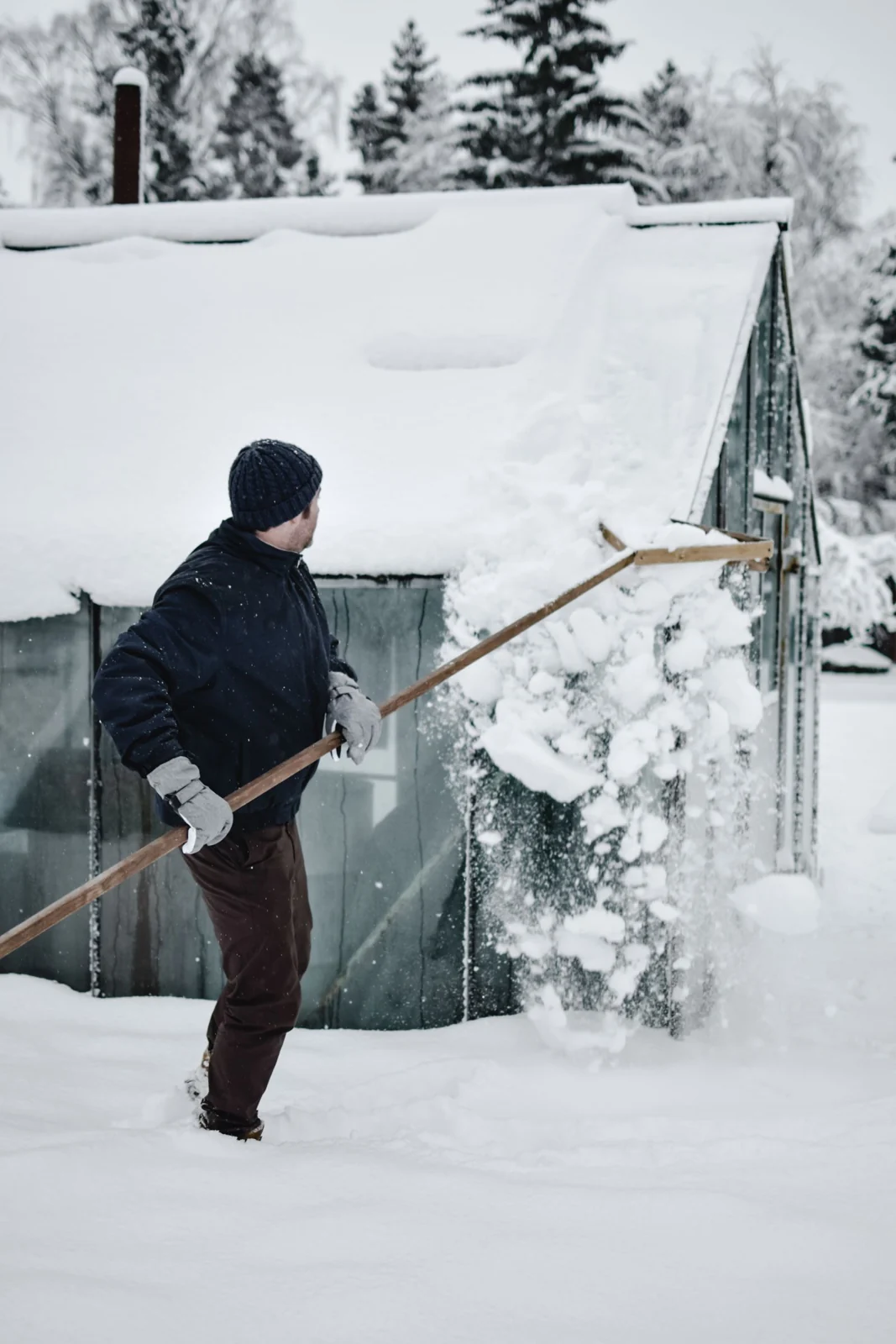 Person shoveling snow off a cabin roof in a snowy forest landscape
